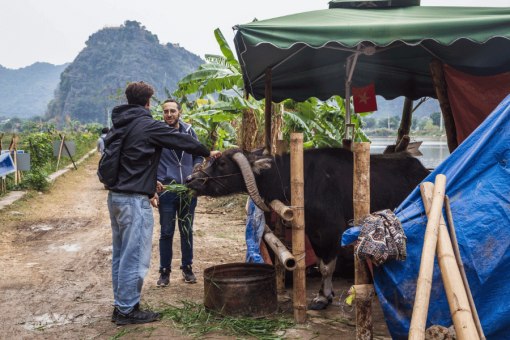 ninh binh ebike - hanoi local tour