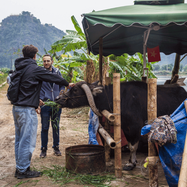 ninh binh ebike - hanoi local tour