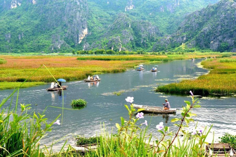 Best Time to Visit Van Long Nature Reserve