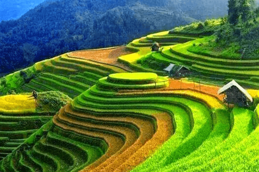 Best time to visit Sapa for your ideal Hanoi Sapa tours