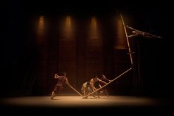 Breathtaking Comtemporary Circle Performance