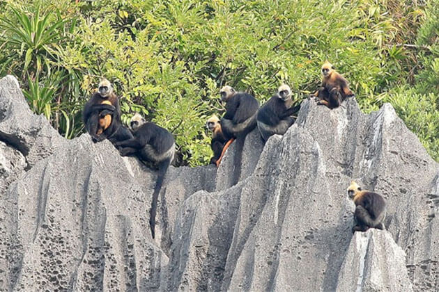 Cat Ba National Park Halong Bay Tour from Hanoi