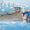 Countryside Tour in Giao Thuy