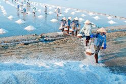 Countryside Tour in Giao Thuy