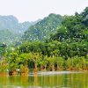 Cuc Phuong National Park