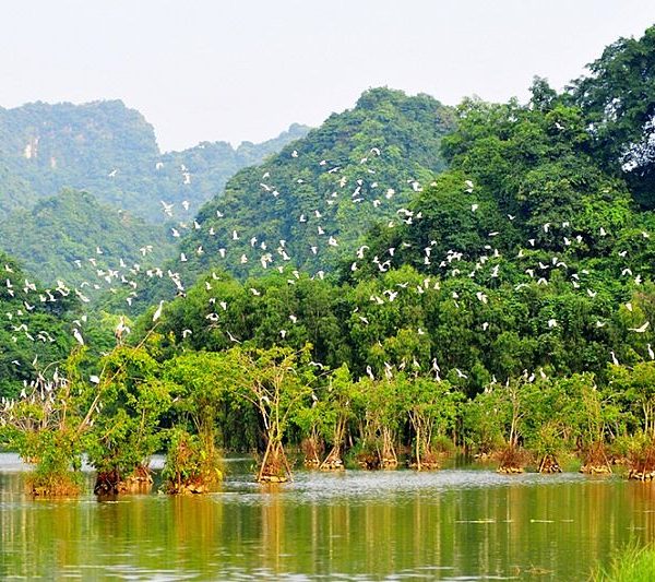 Cuc Phuong National Park