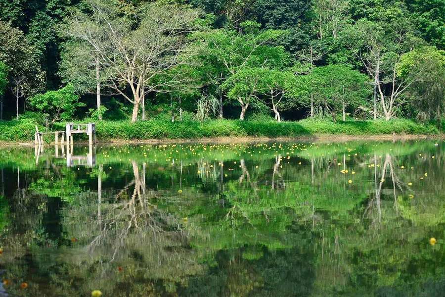 Cuc Phuong National Park, Ninh Binh - Northern Vietnam Tours