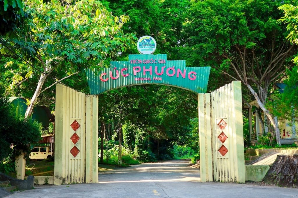 Cuc Phuong National Park Travel Guide 2026 - Explore Ninh Binh’s Oldest Rainforest