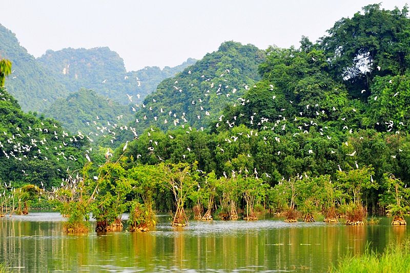 Cuc Phuong National Park