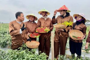 Da Phuc Green Tourism - Unique Hanoi Eco Tour & River Camping Experience in Vietnam