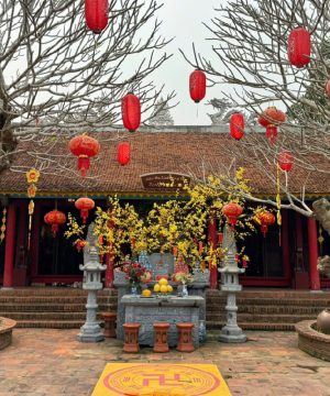 Dien Cu Tu - Hanoi trips
