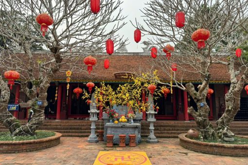 Dien Cu Tu - Hanoi trips