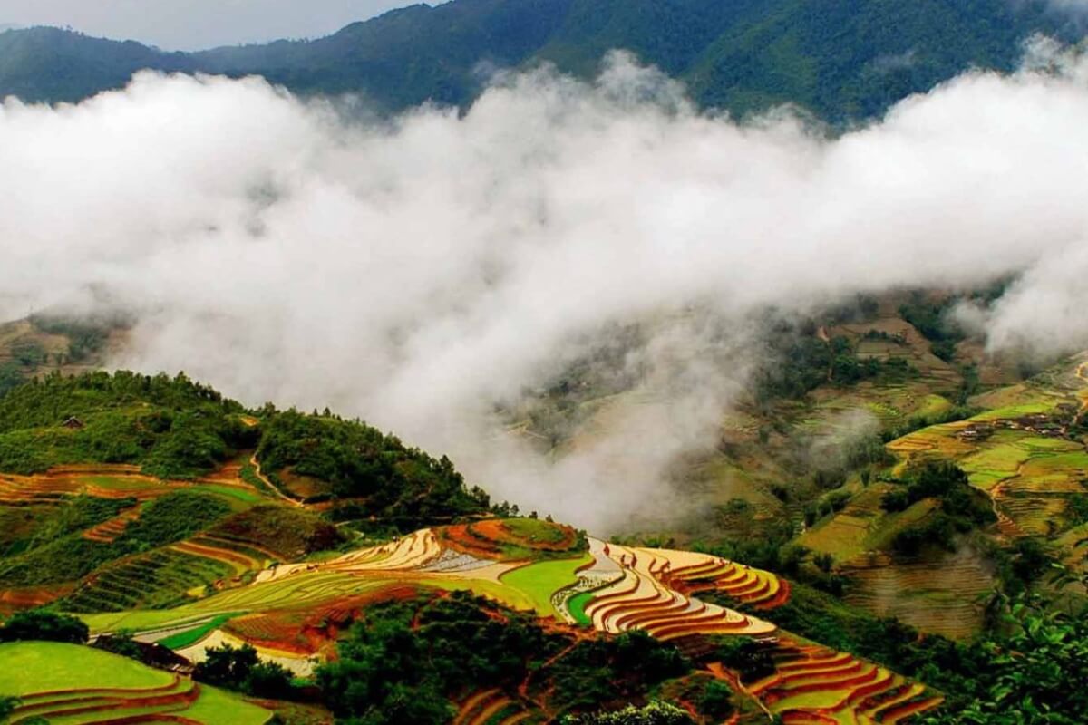 Discover the Beauty of Nature Around Sin Chai