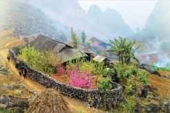 Dong Van in Ha Giang Tour