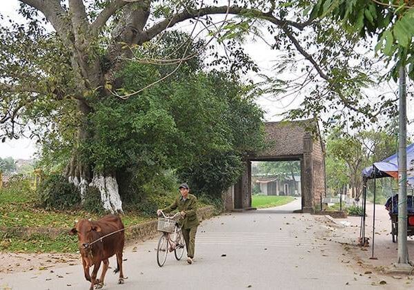 Duong Lam Ancient Village Hanoi Tour packages