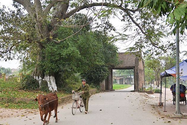 Duong Lam Ancient Village Hanoi Tour packages