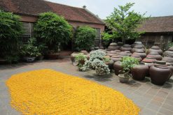 Duong Lam Ancient Village