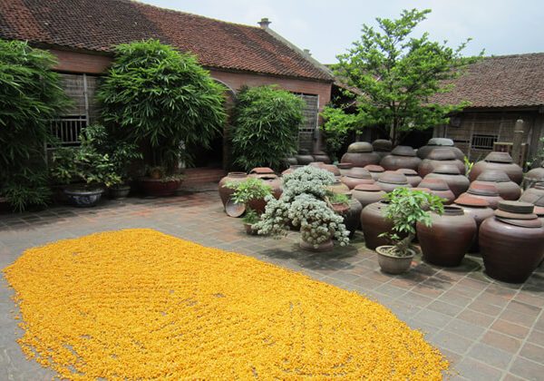 Duong Lam Ancient Village Hanoi day tours