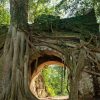 Duong Lam Ancient Village Tour