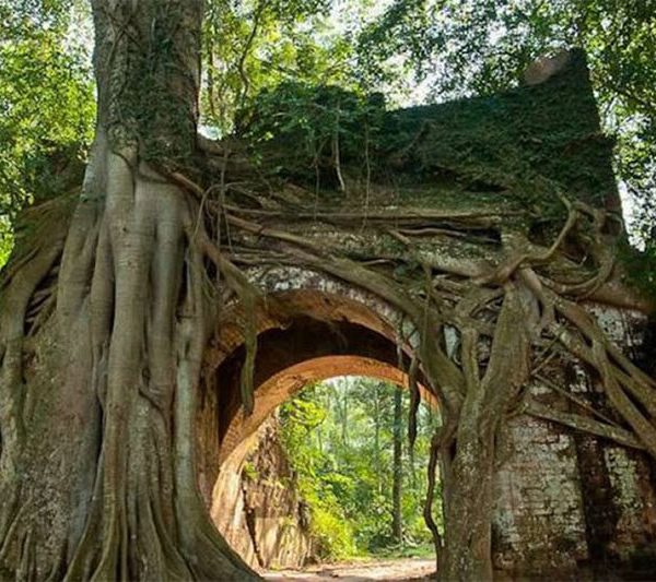 Duong Lam Ancient Village Tour