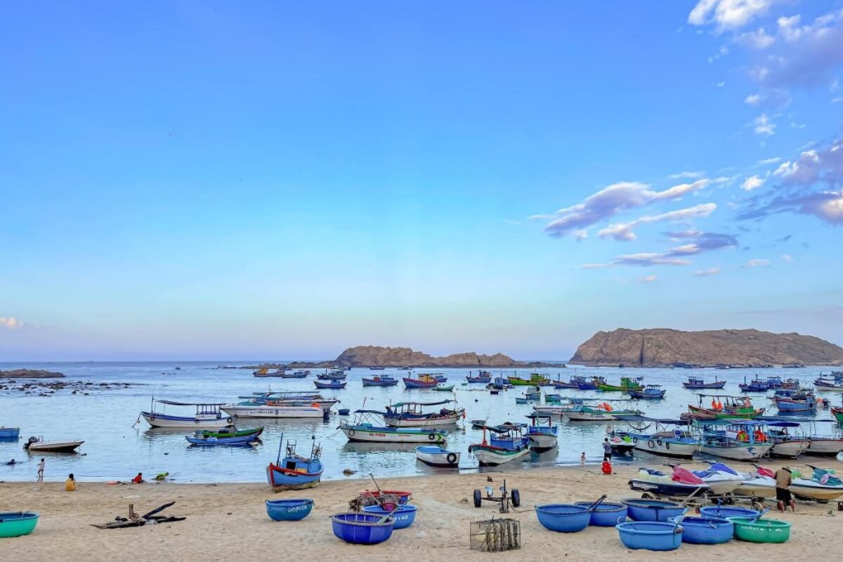 Experience Local Life at the Fishing Port