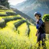 Experience Natural Pu Bin Spicy Hill