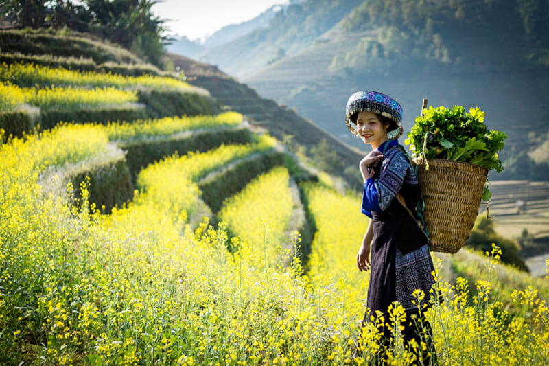 Experience Natural Pu Bin Spicy Hill