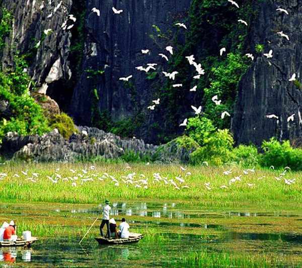 Explore Thung Nham Bird Garden Ninh Binh