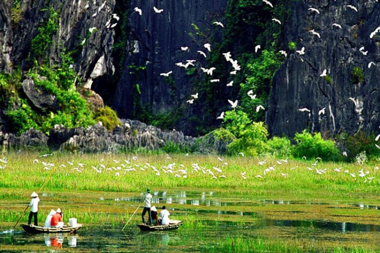 Explore Thung Nham Bird Garden Ninh Binh