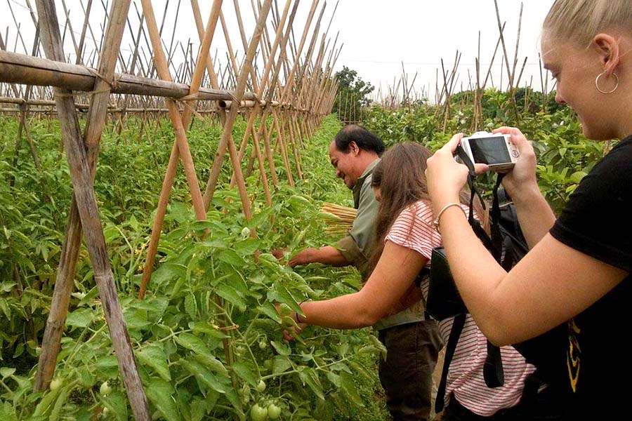 Farming tour - Hanoi food tour