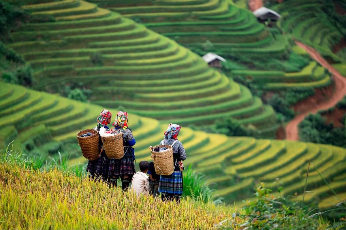 Frequently Asked Questions About Mai Chau Vietnam