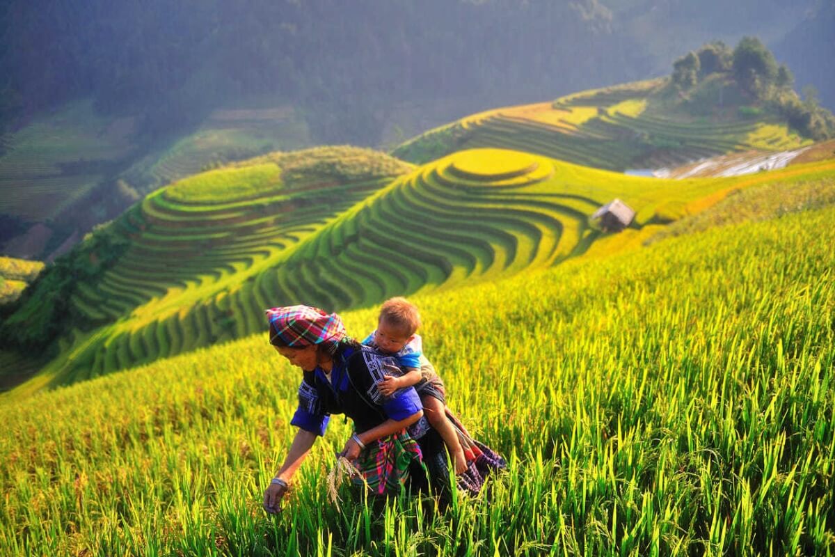Frequently Asked Questions About Nam Cang Village