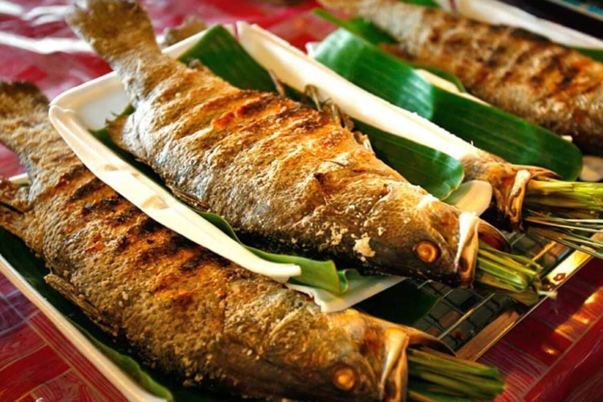 Grilled Stream Fish