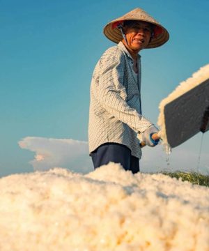 Hai Dong Salt Fields in nam dinh - hanoi tour