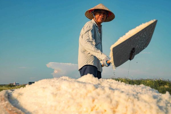 Hai Dong Salt Fields in nam dinh - hanoi tour