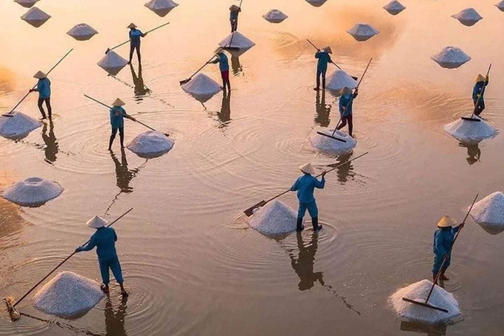 Hai Hau Salt Field in Hanoi Local Tour