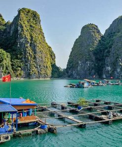 Halong Bay shore excursions