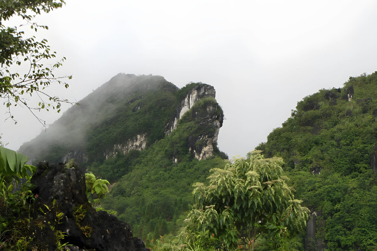 Ham Rong Mountain: The famous dragon-head-shaped mountain of Sapa ...
