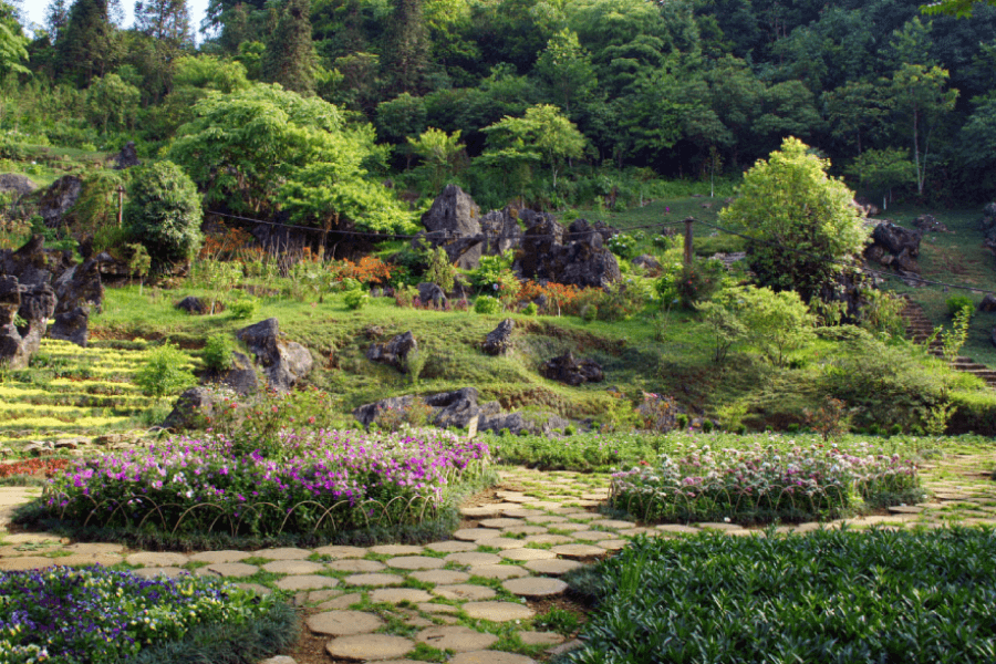 Ham Rong mountain with flowers in day trip to Sapa from Hanoi-2