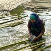 Handicraft Villages Discovery - Hanoi village tours