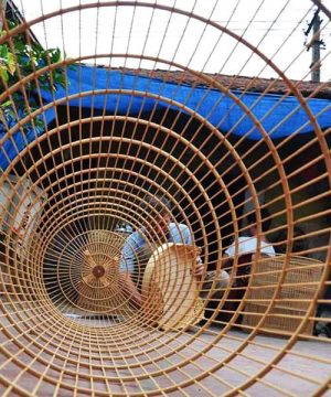 Hanoi Handicraft Villages - Hanoi village tours