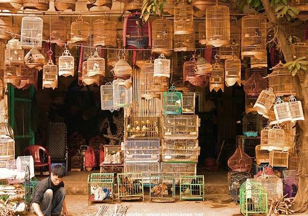 Hanoi Old Quarter - Hanoi Tour Packages