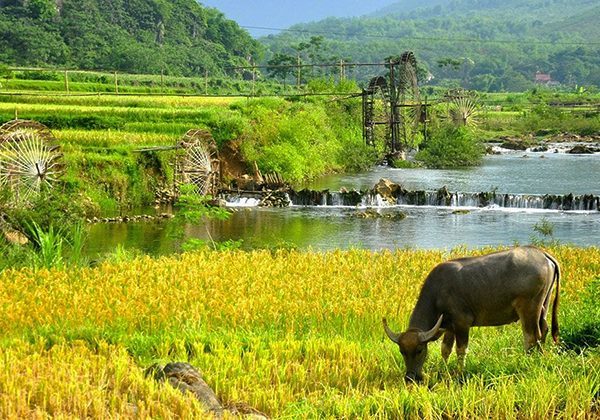 Hanoi day tour - Pu Luong Odyssey Tour