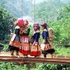 Hanoi Sapa Halong Bay Tour