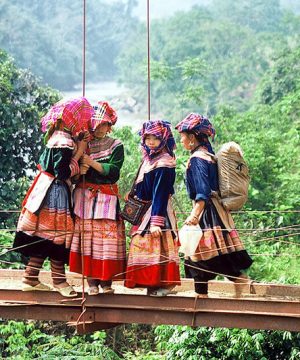 Hanoi Sapa Halong Bay Tour
