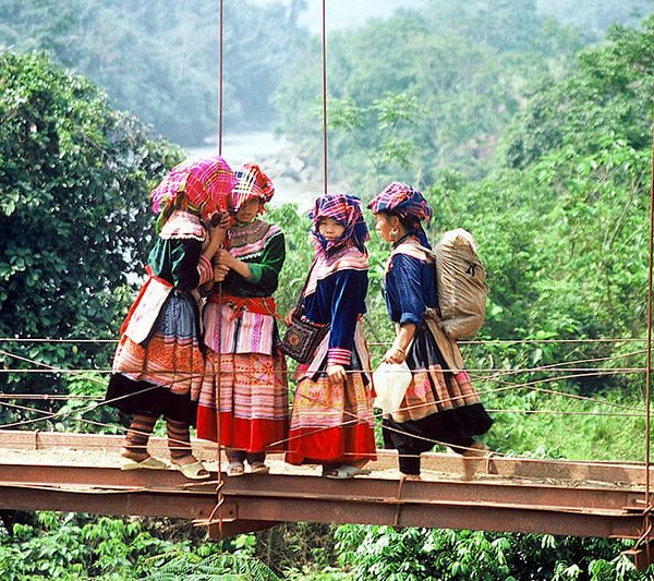Hanoi Sapa Halong Bay Tour
