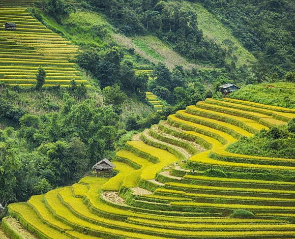 Bac Ha Market in Sapa Tour