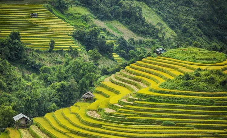Bac Ha Market in Sapa Tour