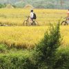 Hanoi bike tour - Hanoi day tours