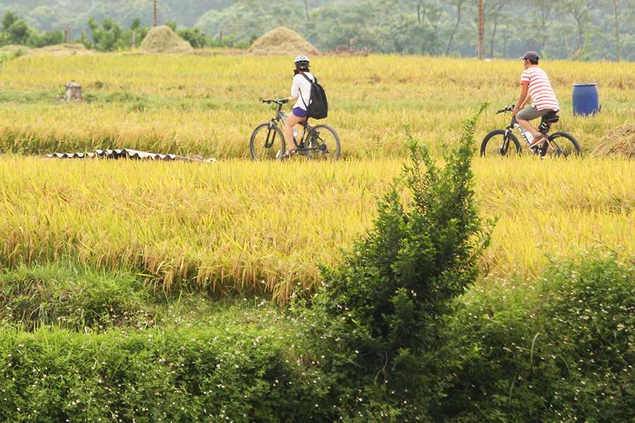 Hanoi bike tour - Hanoi day tours